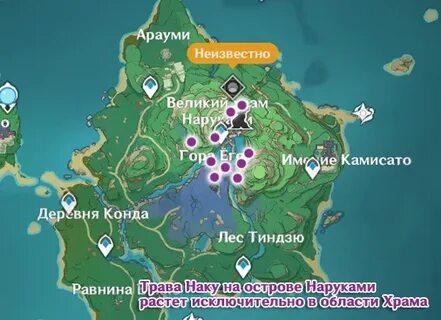 Наку геншин импакт