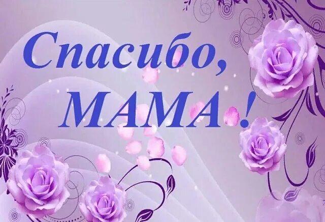 Танец мамочка мамулечка. Танец кнопочки. Мамы танцуют в детском саду. Танец мамы и дочки на новый год. Мамочки танцуют в детском саду.