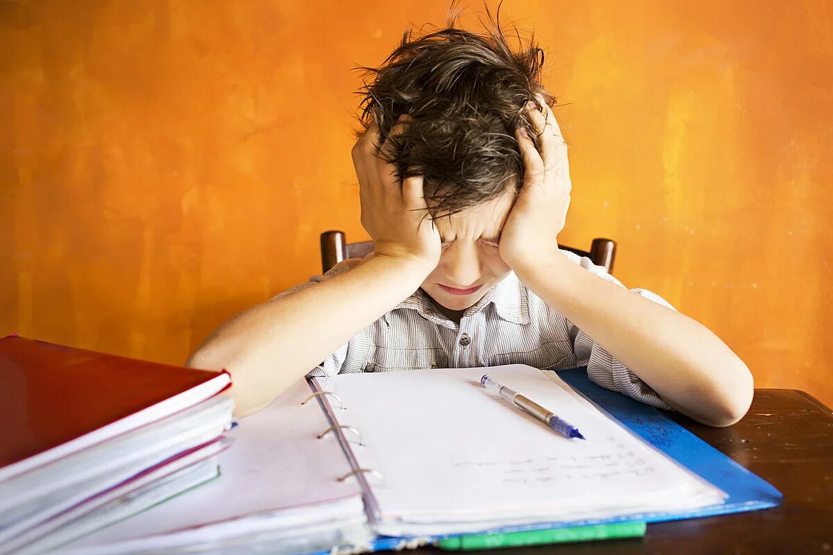 I have a lot of homework