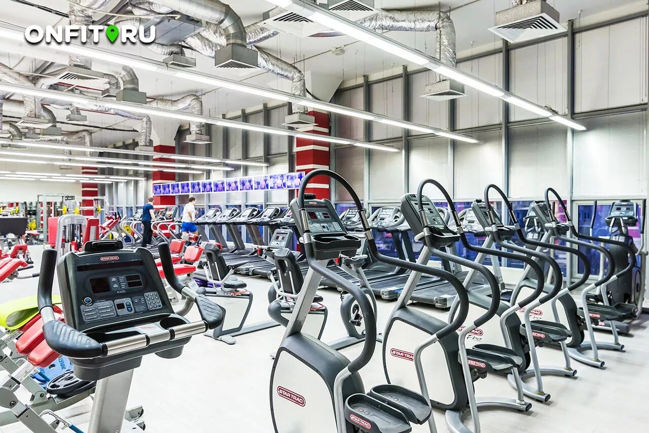 Дд спорт. Dd sport жулебино. Территория фитнеса жулебино. Спортлэнд братиславская. Мужской салон красоты тренажерный зал.