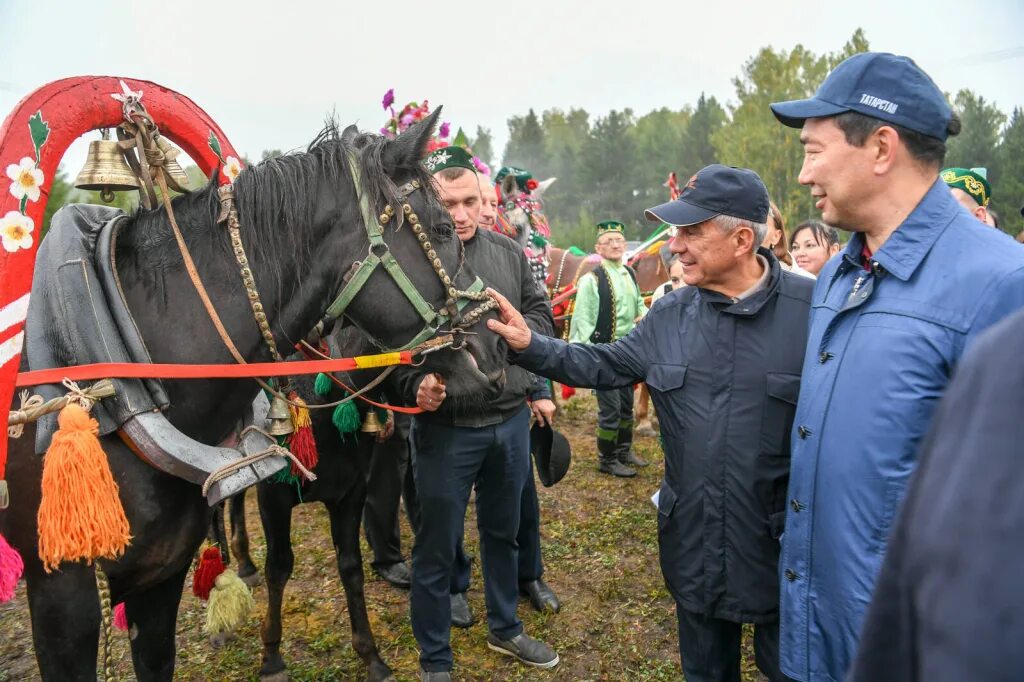 Новый Кырлай Арский район. День коня Кырлай фоторепортаж. Лошадь Минниханова. День коня 2023 Кырлай. Праздник коня 2024