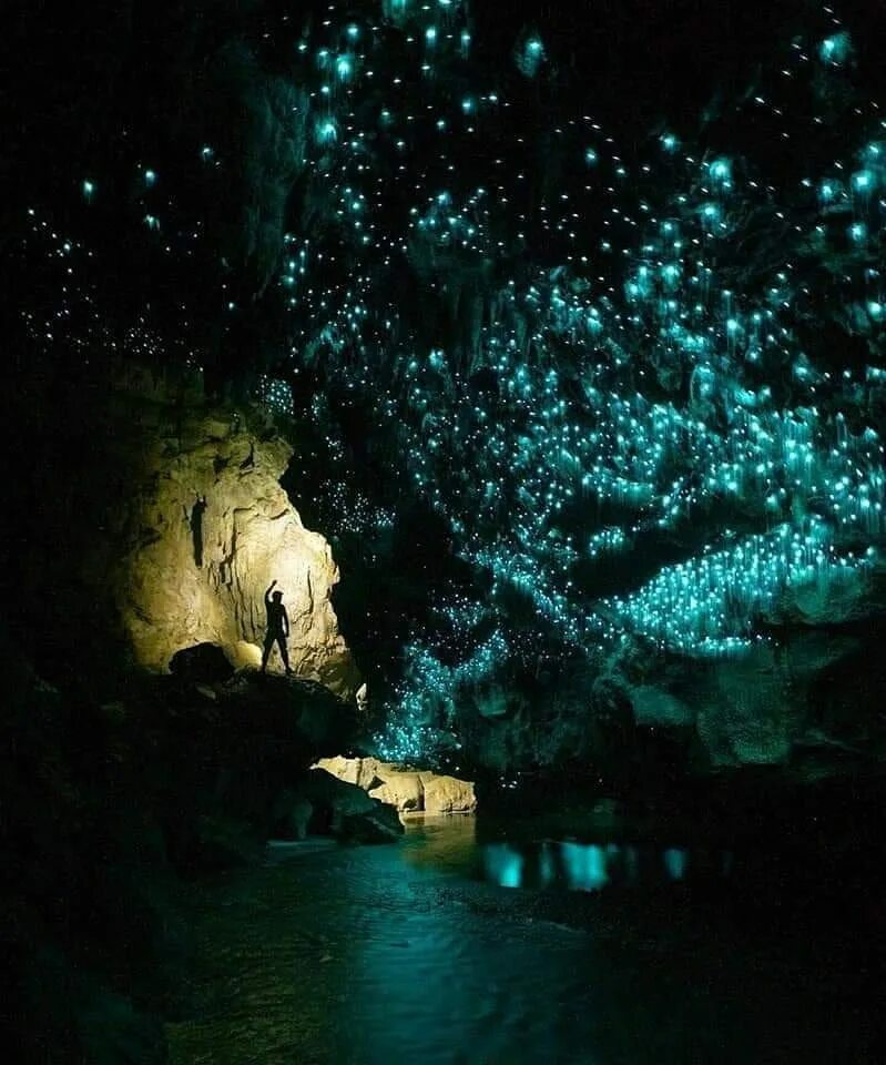 Украсить пещеру. Пещеры светлячков Вайтомо. Пещеры Вайтомо новая Зеландия. Пещера светлячков новая Зеландия. Пещера Уэйтомо Глоуворм.