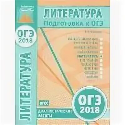 Огэ 18 год