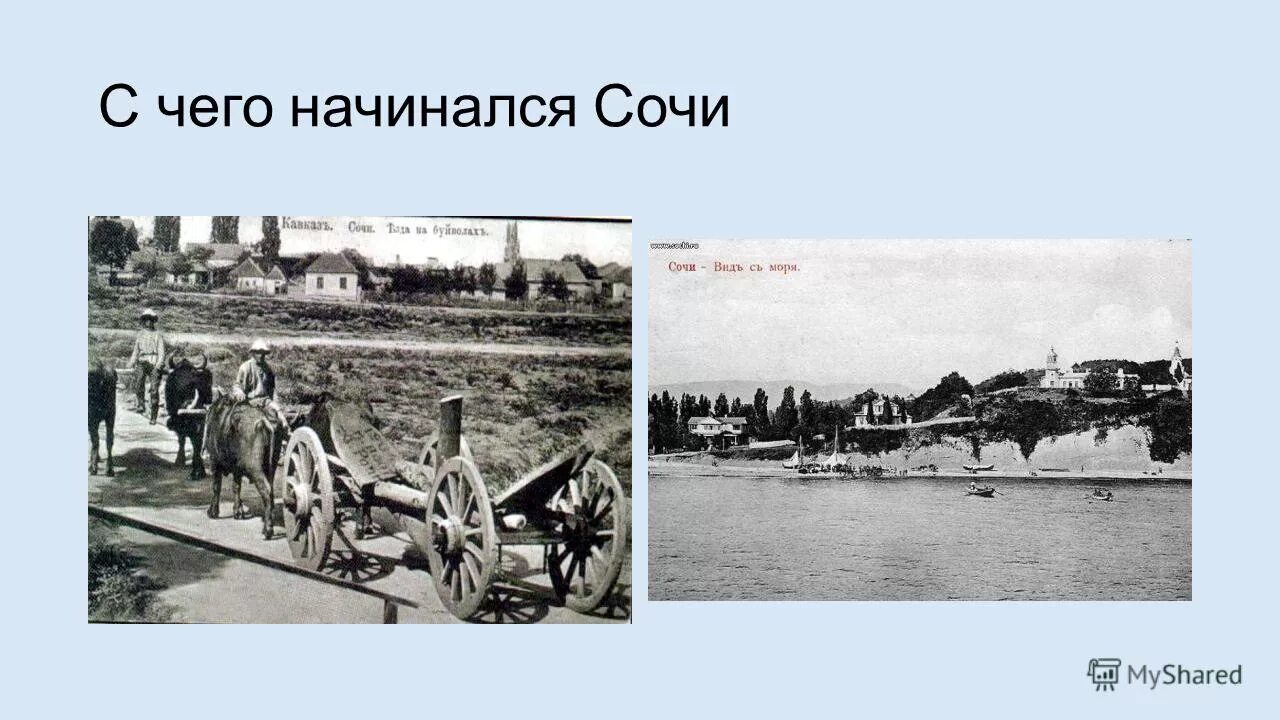 В каком году основан сочи. Проект о сочи для 3 класса. Сочи история города и происхождение. Историческое событие в сочи. Город сочи.