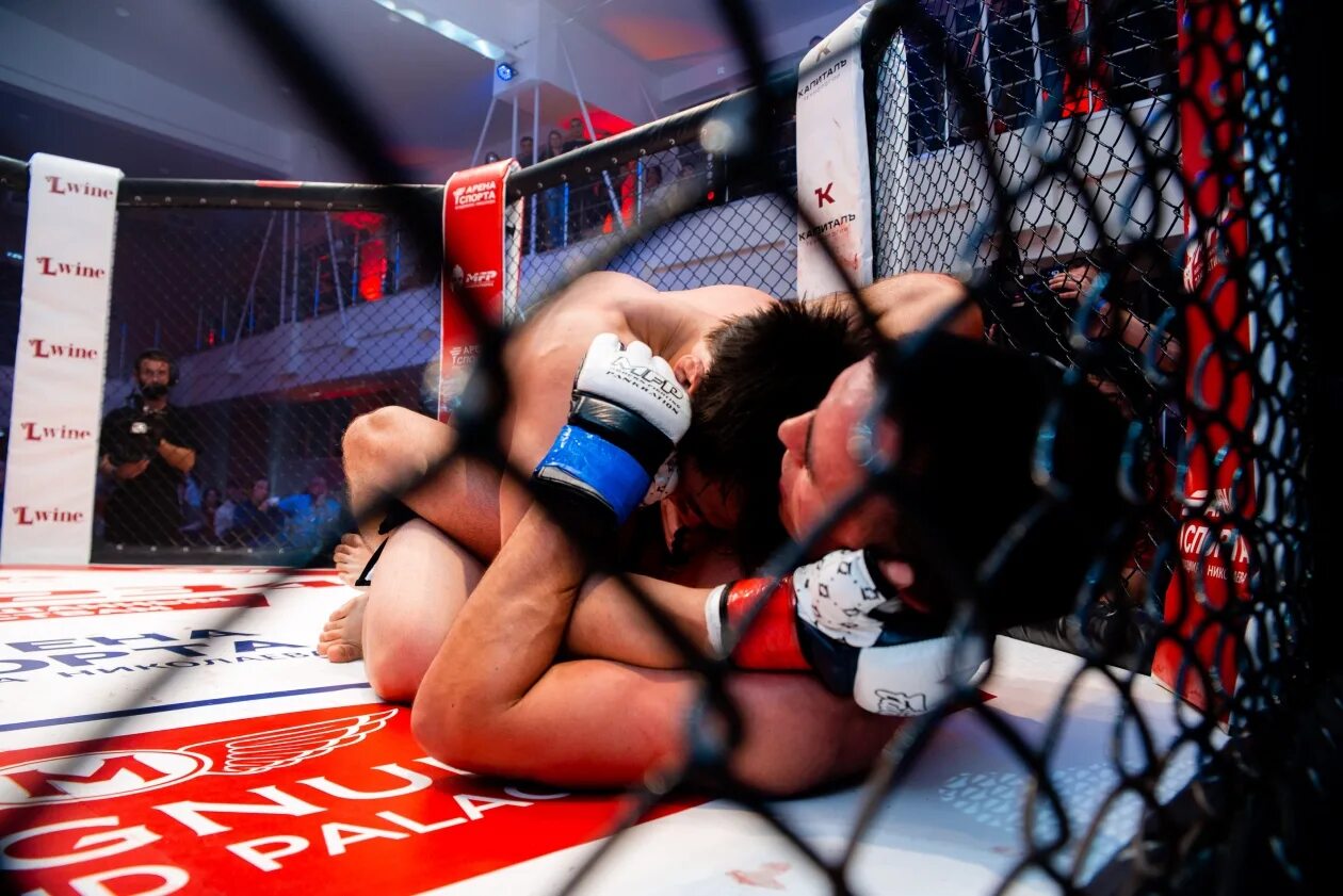 боевые искусства мма. смешанный единоборств. мма. боевые искусства мма. боевые искусства мма.