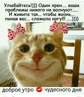 Я живу не улыбаюсь