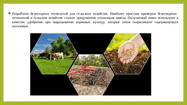 Привести пример использования раствора в сельском хозяйстве Презентация по сельскому хозяйству: "Состояние и перспективы применения минераль