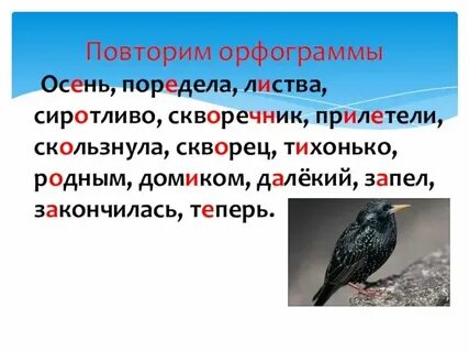 Проверочное слово к слову скворец 3