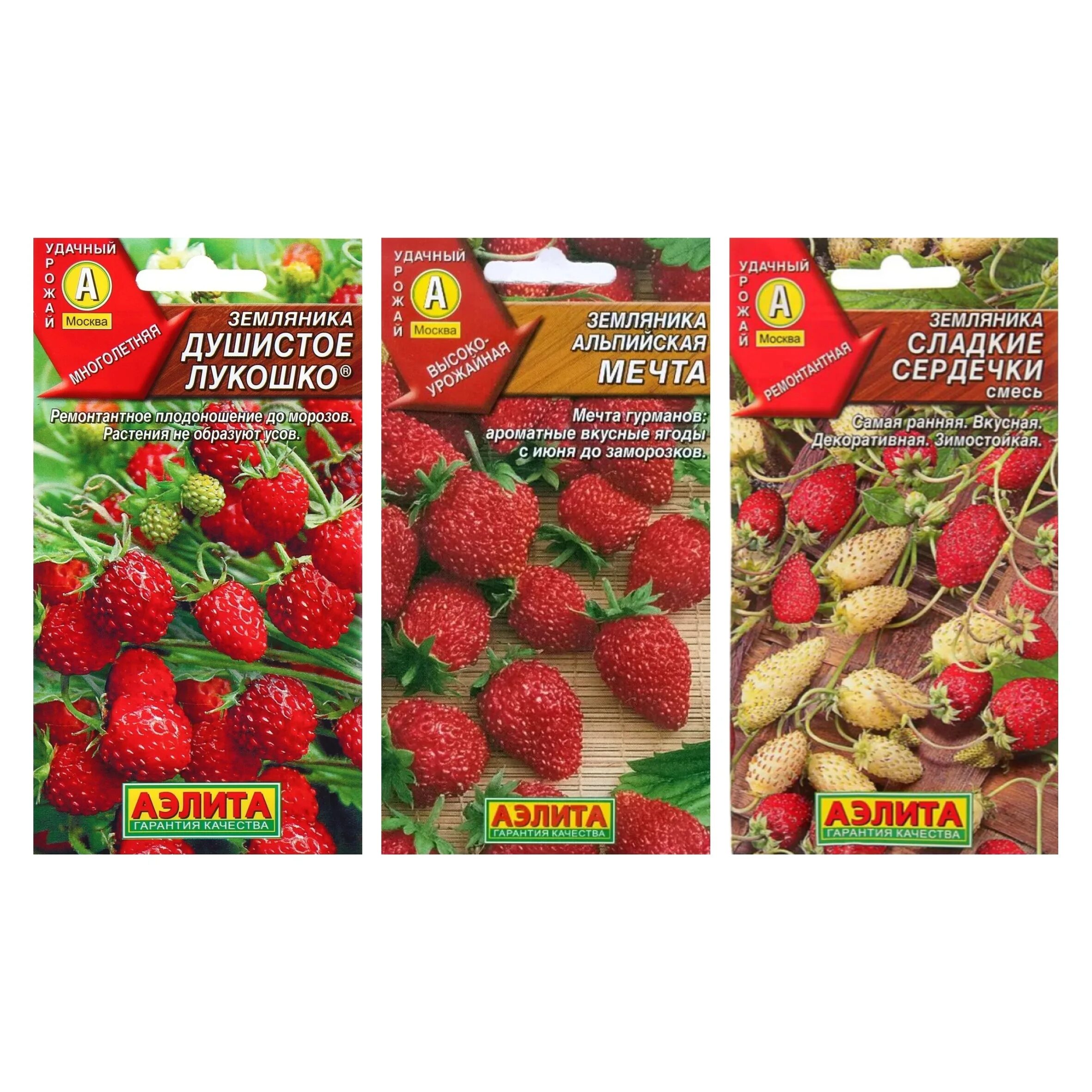 Земляника ароматный сюрприз. Земляника душистое лукошко фото.