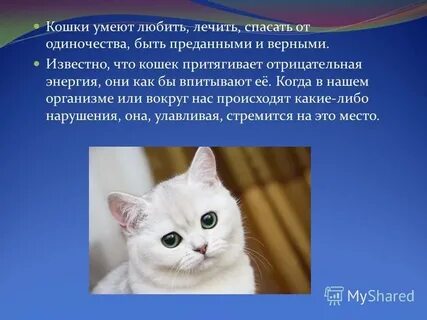 Лечить умеешь