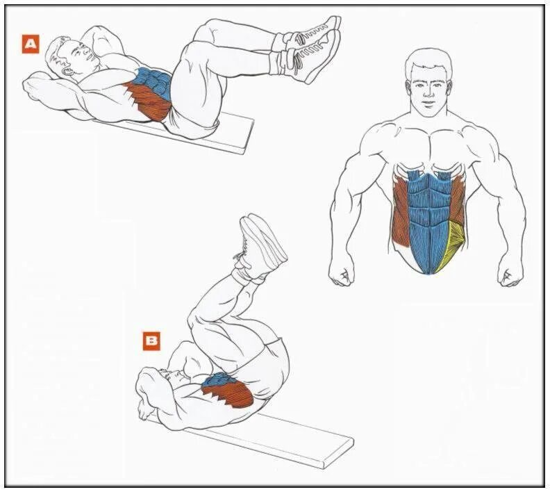 Эффективное упражнение на пресс для мужчин. Упражнения для мышц пресса. Схема накачивания пресса. Упражнения для прокачки мышц живота. Упражнения для накачивания пресса и мышц.