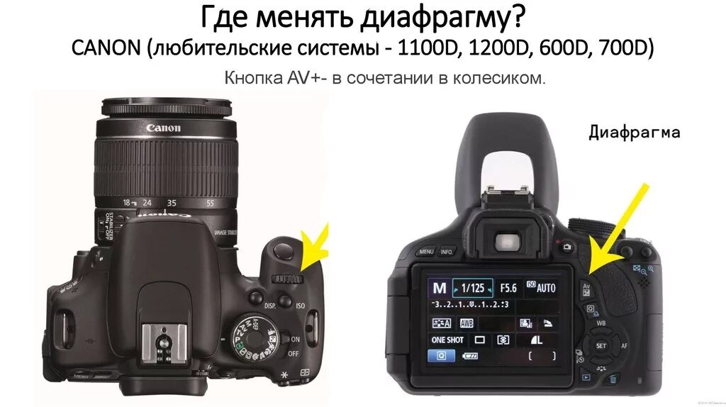 Должен ли м р карасев вернуть видеокамеру. Камера Canon EOS 600d индикаторы. Фотоаппарат Canon EOS 1100d.