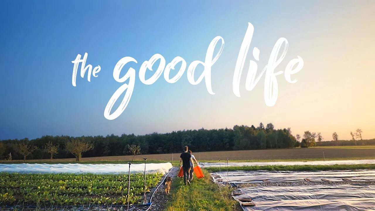 Жизнь хороша. The good Life. Фармс лайф. The good life found