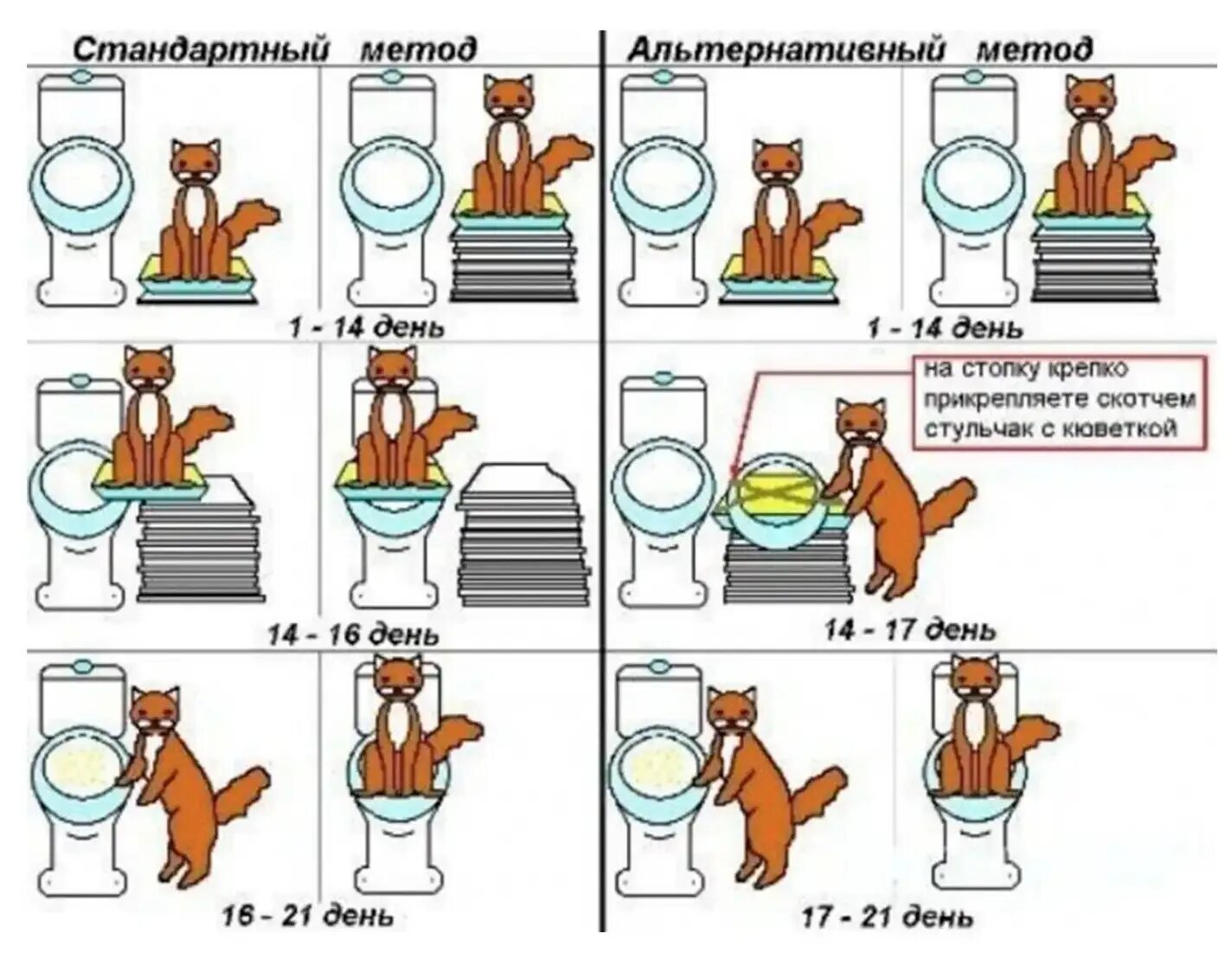 Приучение кота к унитазу. Как приучить кошку к унитазу. Лоток чтобы приучить кота к унитазу. Как научить кота ходить в унитаз. Не могу сходить в туалет 2 дня