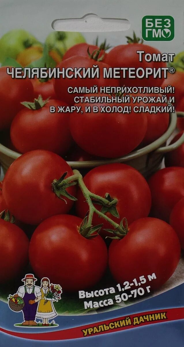 Сорт томата уральский дачник. Томат Челябинский метеорит Уральский Дачник. Томат красный Метеор. Сорт помидор Челябинский метеорит. Томат Уральский Дачник характеристика.