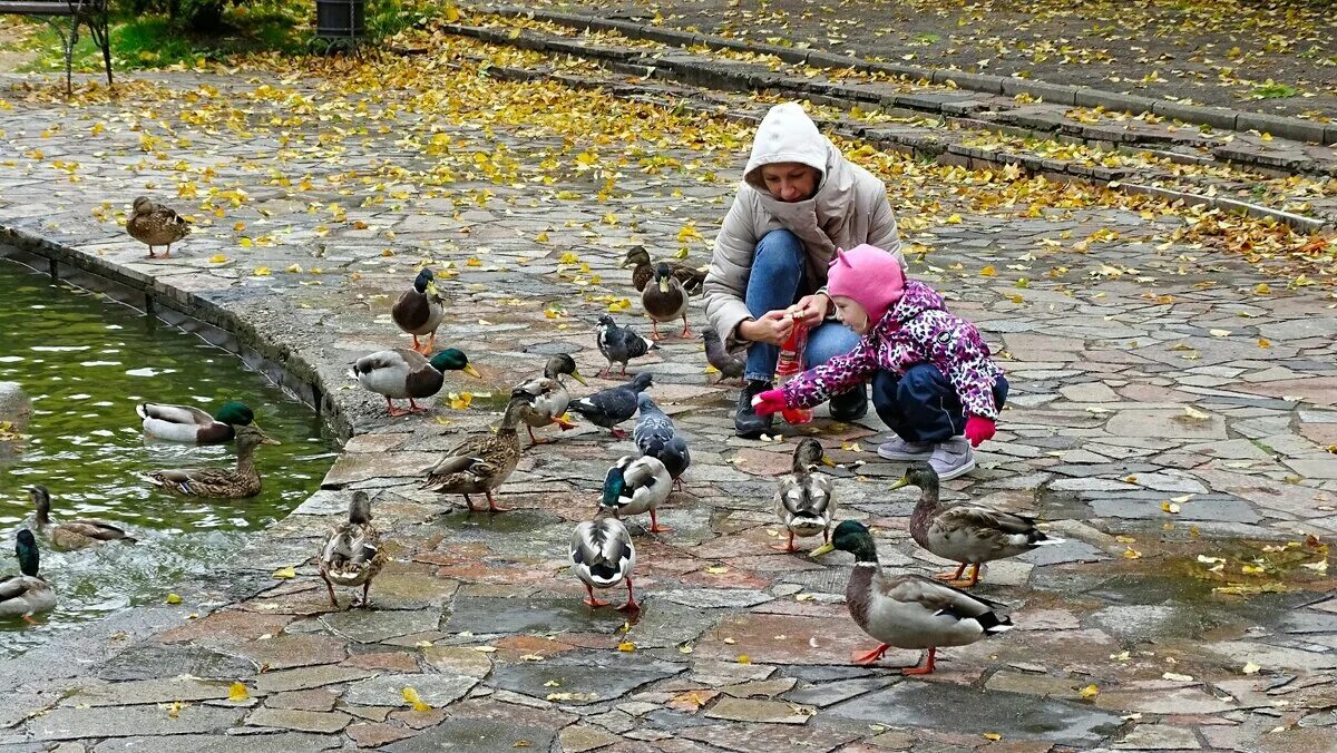 поселок добрых людей.