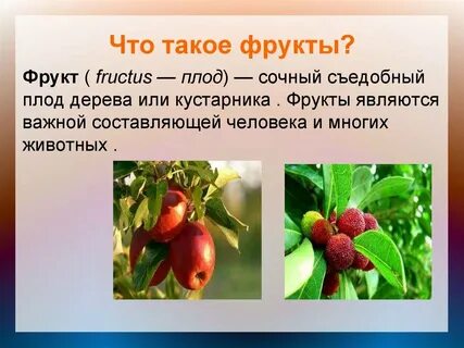 Доклад плоды