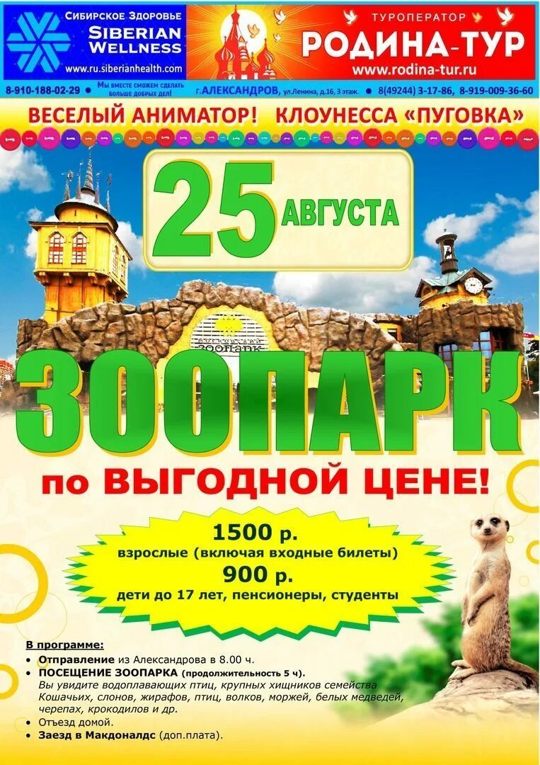 Путевки в александрове. Путевки в александрове