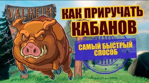 Как приручить кабана