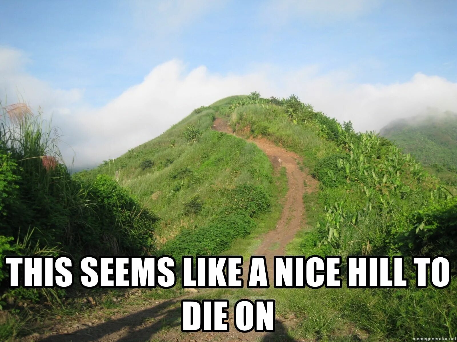 Seems to be lost. Seems like. caption hill.