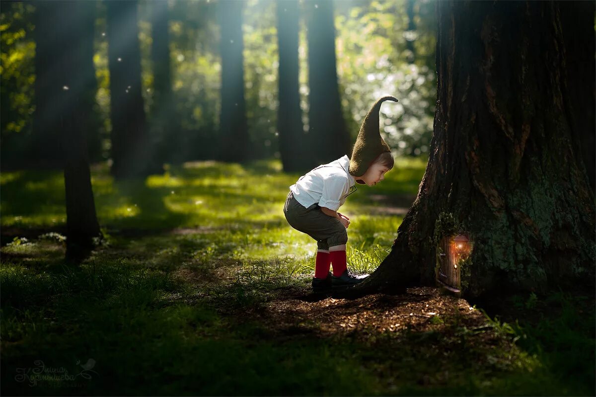 Живет гномик в таинственном лесу. Мальчик в лесу. Гномы в лесу. Детская фотосессия в лесу Сказочная. Мальчик в сказочном лесу