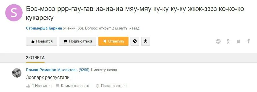 Вопросы девственнице. Тупые вопросы. самые тупые вопросы. смешные ответы майл ру.