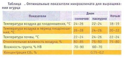 Температура почвы для огурцов. Какая оптимальная температура в теплице для огурцов. Температурный режим для рассады огурцов в теплице. Какая температура в теплице для огурцов. При какой температуре растут помидоры