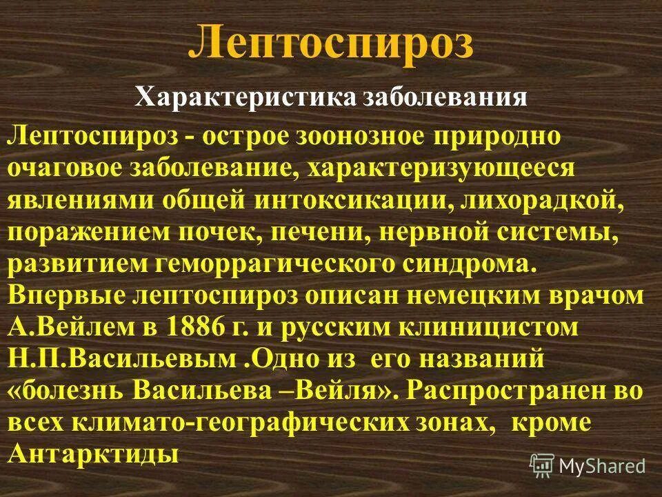 Инфекция лептоспироз. Клинические синдромы лептоспироза.