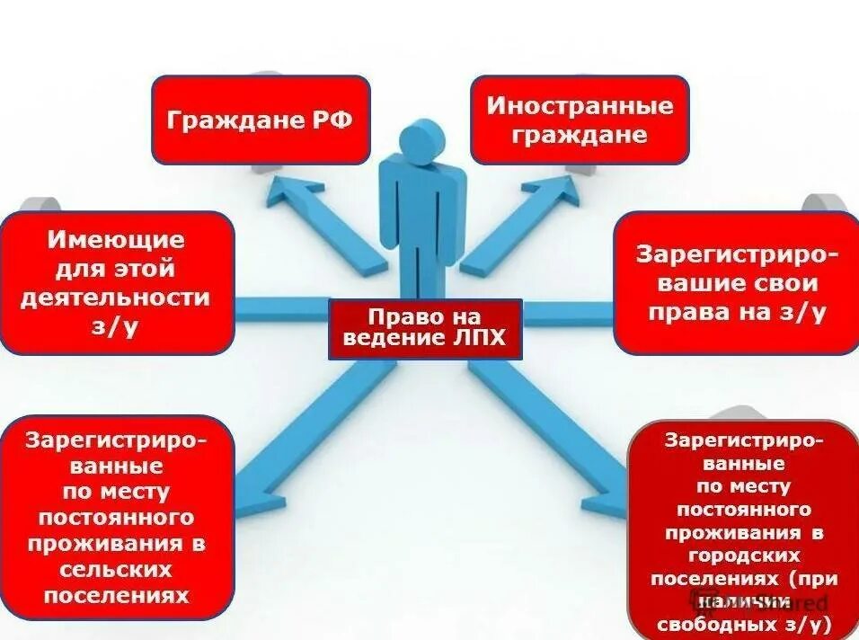 Как взять лпх
