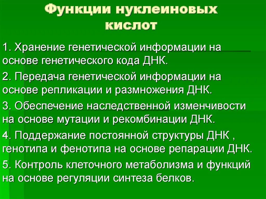 Нуклеиновые кислоты в организме человека выполняют функцию