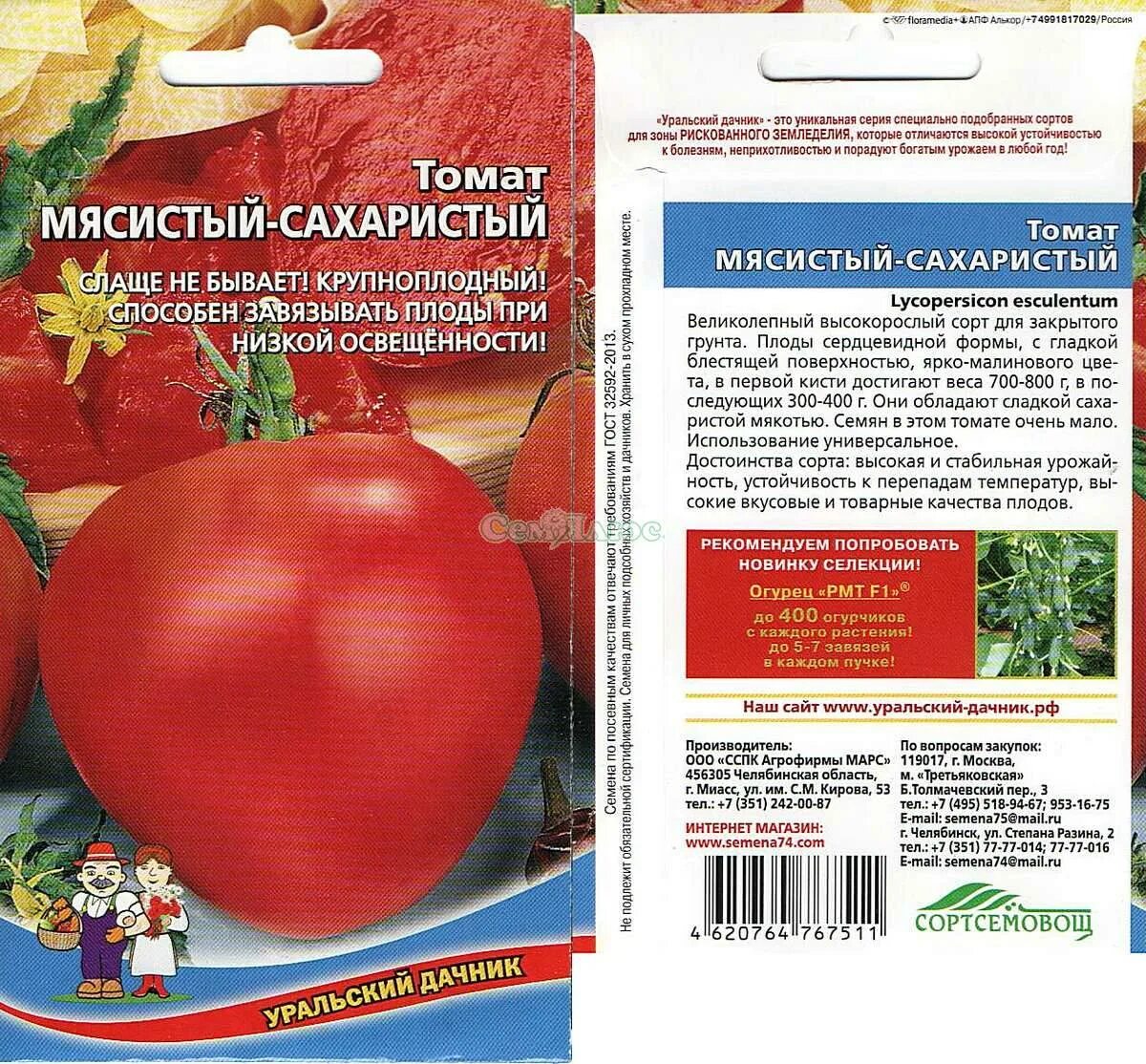 Томаты описание фото отзывы. Помидоры сорт мясистый сахаристый. Томат мясистый сахаристый семена. Томат мясистый сахарный Уральский Дачник. Мясистый сахаристый томат описание.