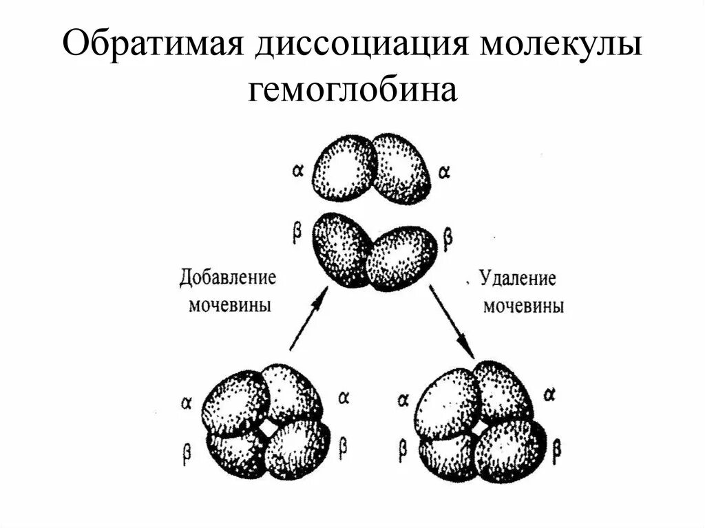 Добавление мочевины. Добавление мочевины