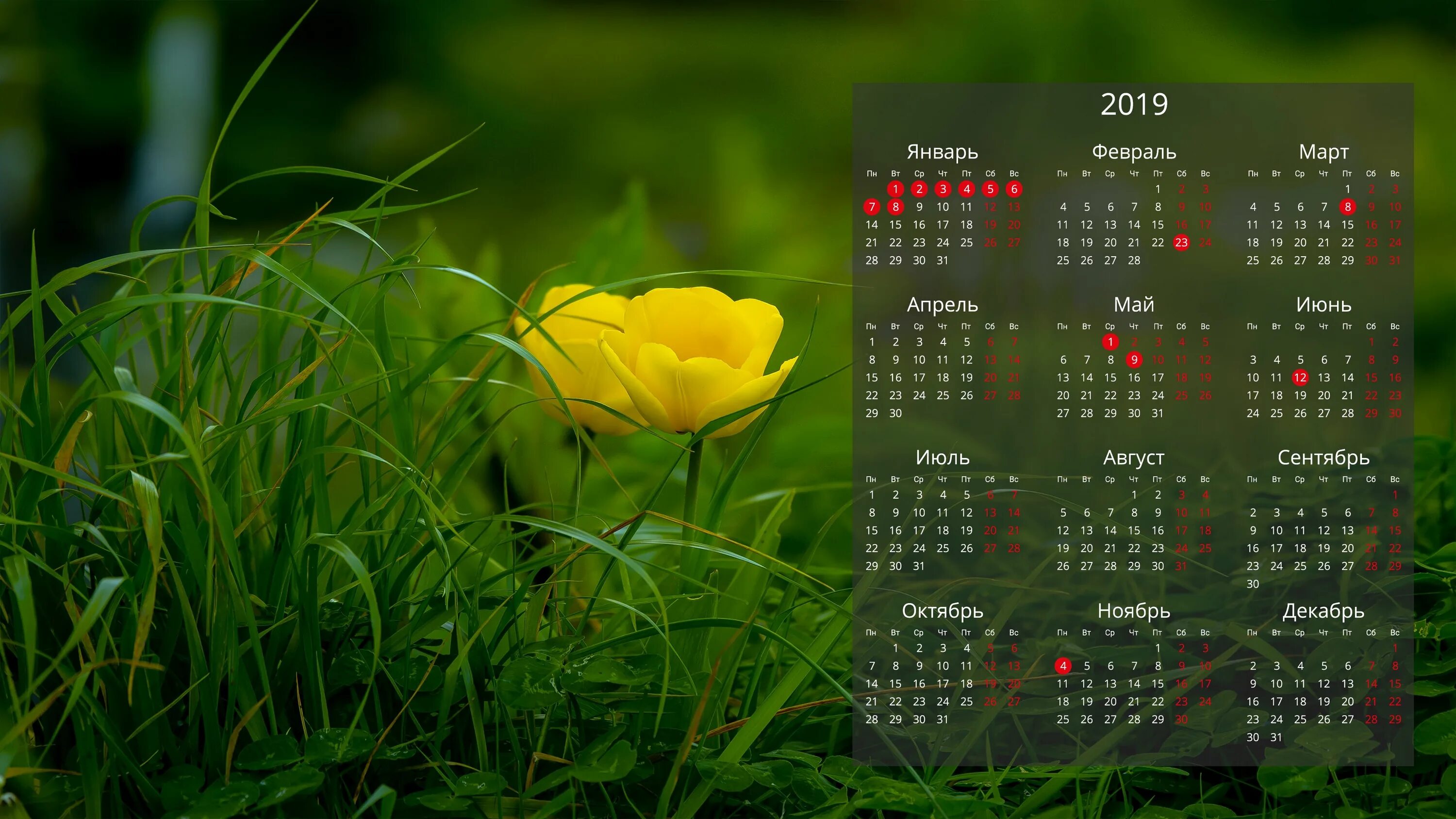 Календарь на рабочий стол 2024 года обои. Календарь. Красивый календарь. Кондарь. Обои на рабочий стол календарь.
