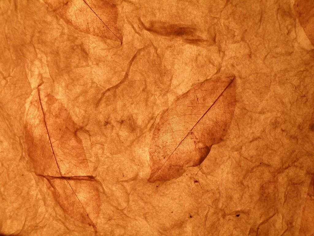 Paper ii