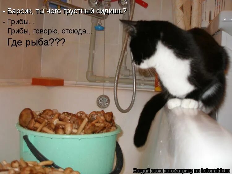 надпись уйди отсюда. просто свали. пошел отсюда. пойдемте ребята отсюда. уходим отсюда мем.