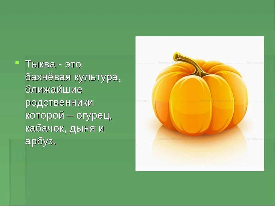 Впр тыква 4 класс. Тыква бахчевая культура. загадка про тыкву. тыква для презентации. загадка про тыкву для детей.