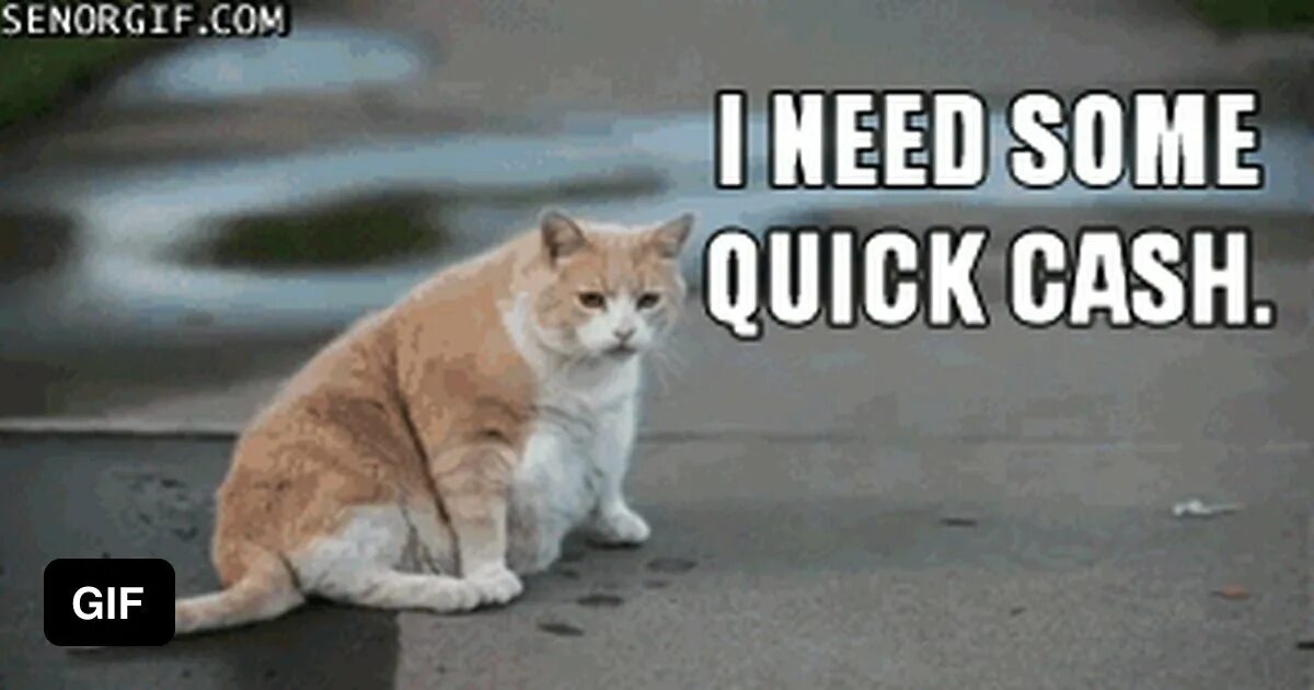 I need to get some air. Толстый кот идет. Толстый кот gif. Котик и деньги gif.