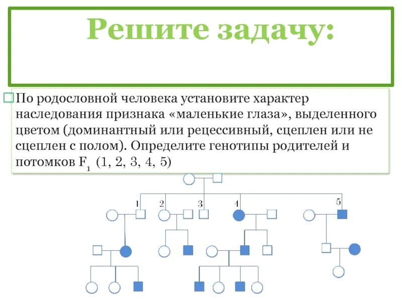 Задачи с доминантными и рецессивными признаками решение. Родословные генетика Тип наследования. Y сцепленный рецессивный Тип наследования. Родословные задачи по генетике пробанд. Решение задач по генетике на наследование признаков.