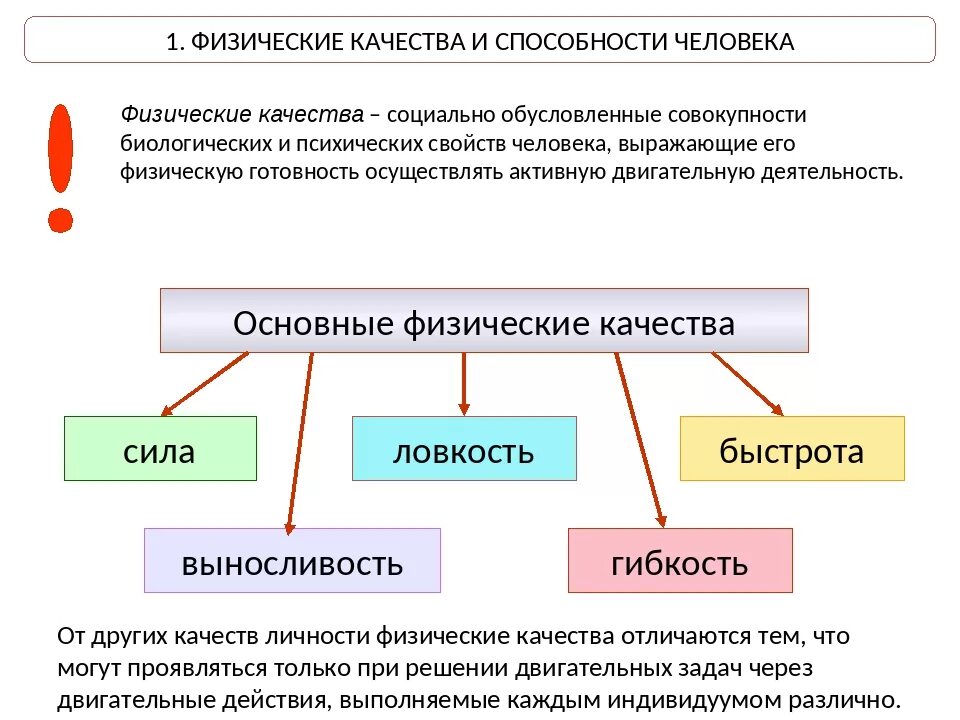 Развитие каких способностей. Физические способности человека. Физические качества человека. Общая характеристика физических способностей. Основные физические способности.