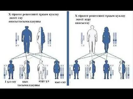 Мас ұйықтап жатқан ХХХ порно көру