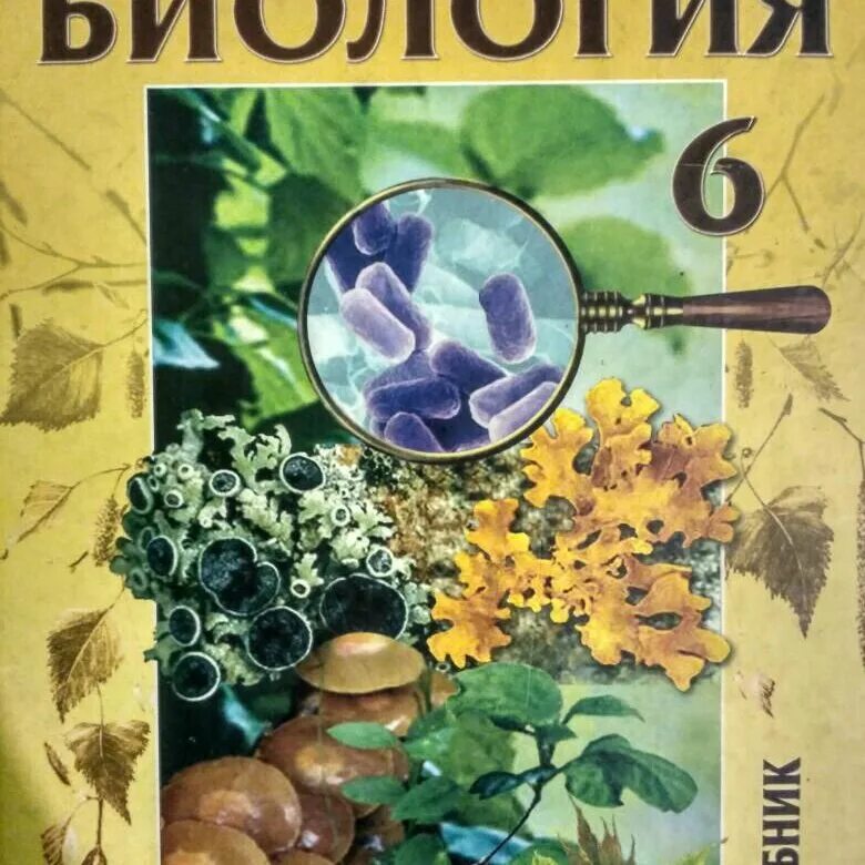 Учебник по биологии. Д И Трайтак н д Трайтак биология 6 класс. Биология 6 класс учебник Трайтак. Биология 6 класс д и Трайтак н д Трайтак живые организмы. Трайтак биология 5-6 класс.