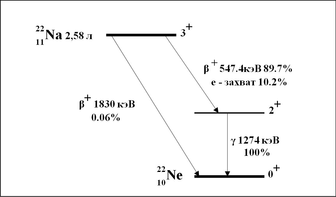 Схема распада натрия 22. Схема распада RN 219. Схема распада европия 152. Схема распада натрия 24.