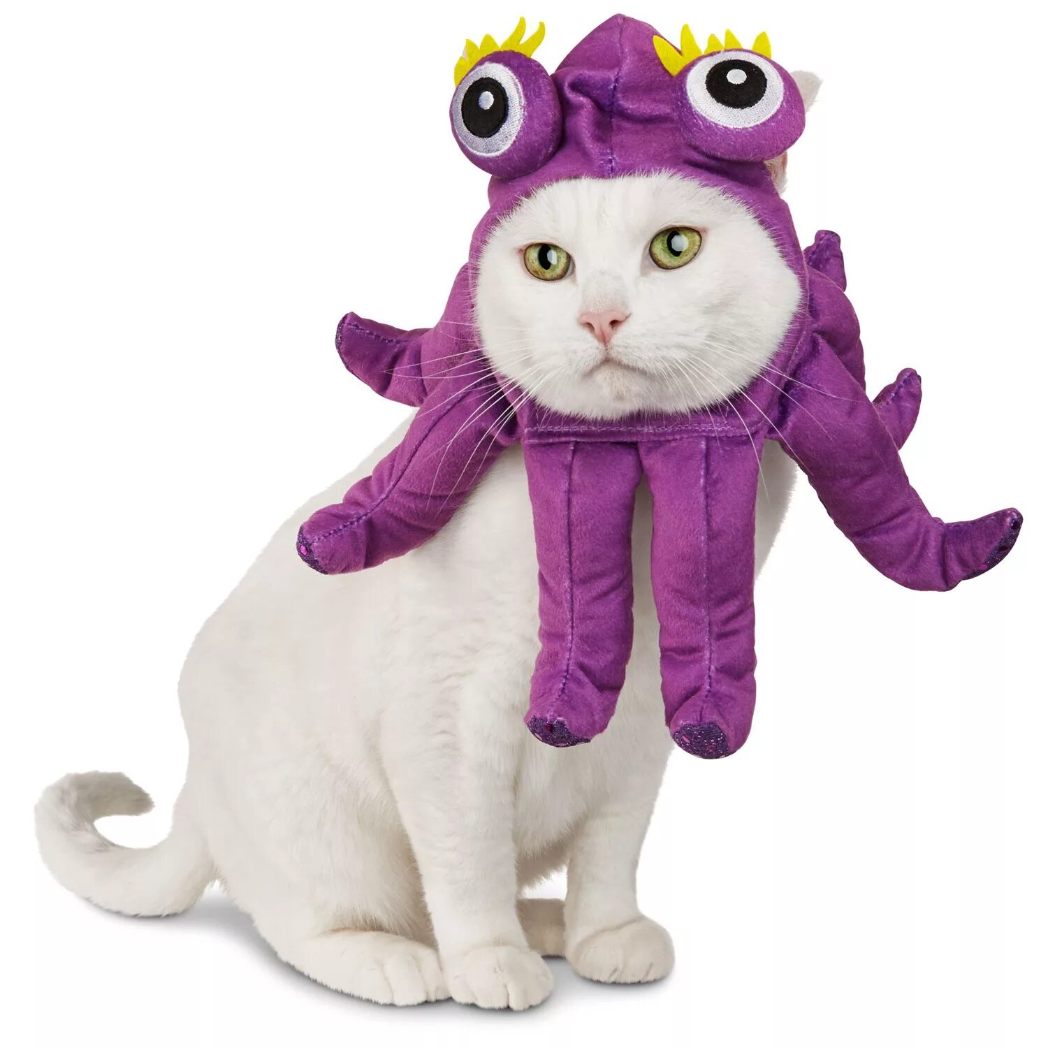 Кошка Осьминожка. Cat Octopus. Mr Nunn's Pet Cat.