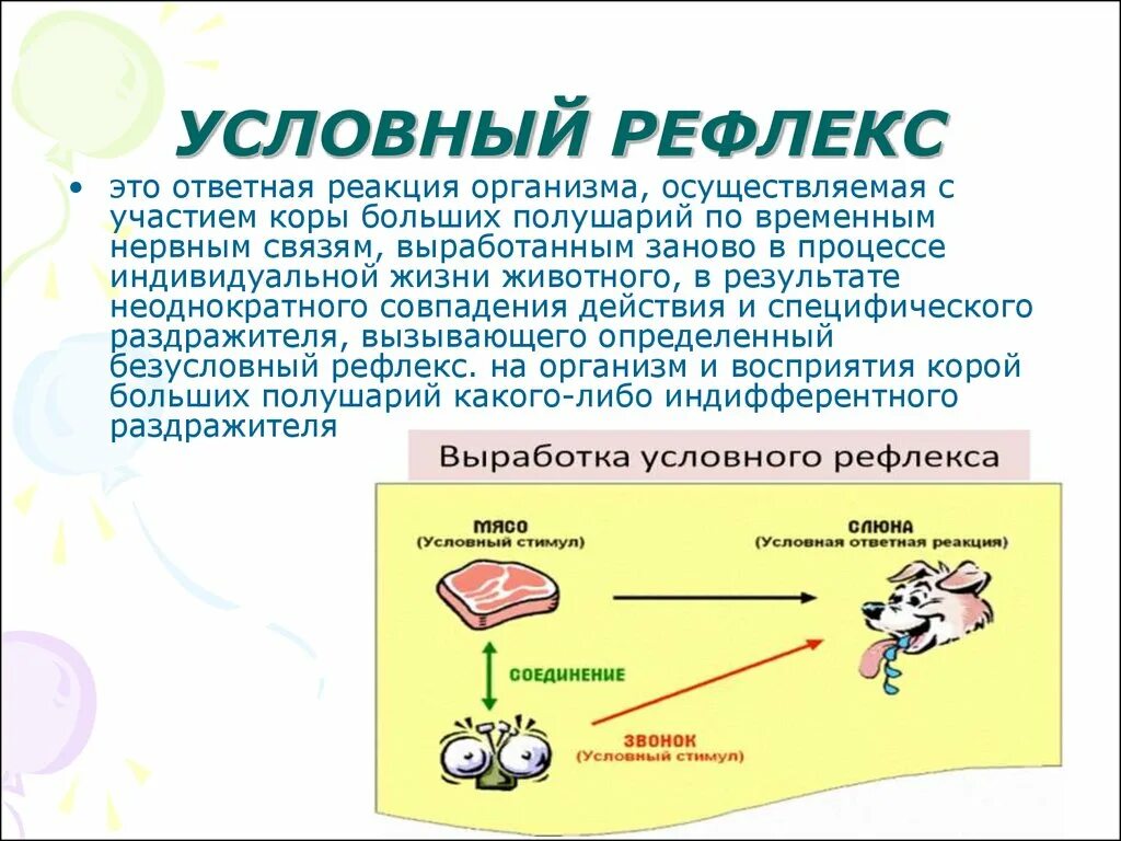 Примеры условных рефлексов у млекопитающих. Условный рефлекс. Условные рефлексы у человека. Условные рефлексы формируются в. Что Тцок условные рефлексы.