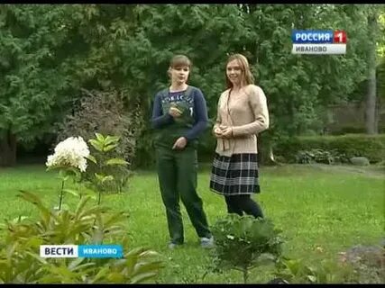 Сюжет иваново