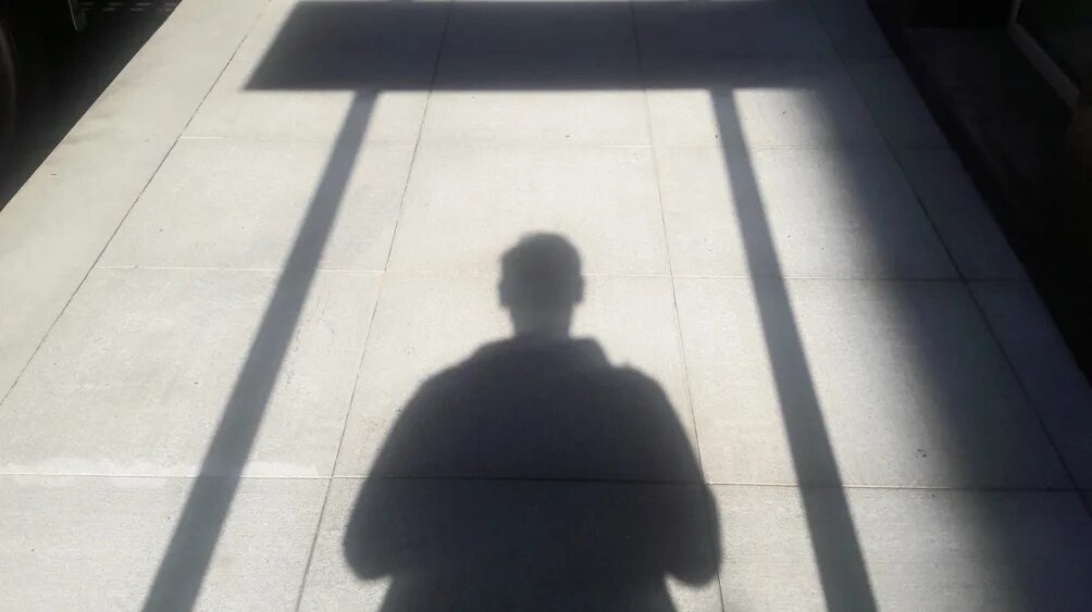 Дзен новости сегодня х. Политика новости дзен. дзен новости сегодня ютуб.