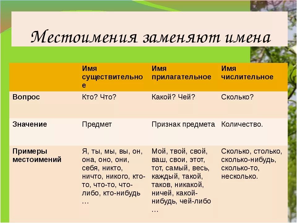 Местоимение существительное. Местоимения существительные примеры. Местоимение существительное местоимение прилагательное. Местоимения существительные и местоимения прилагательные.