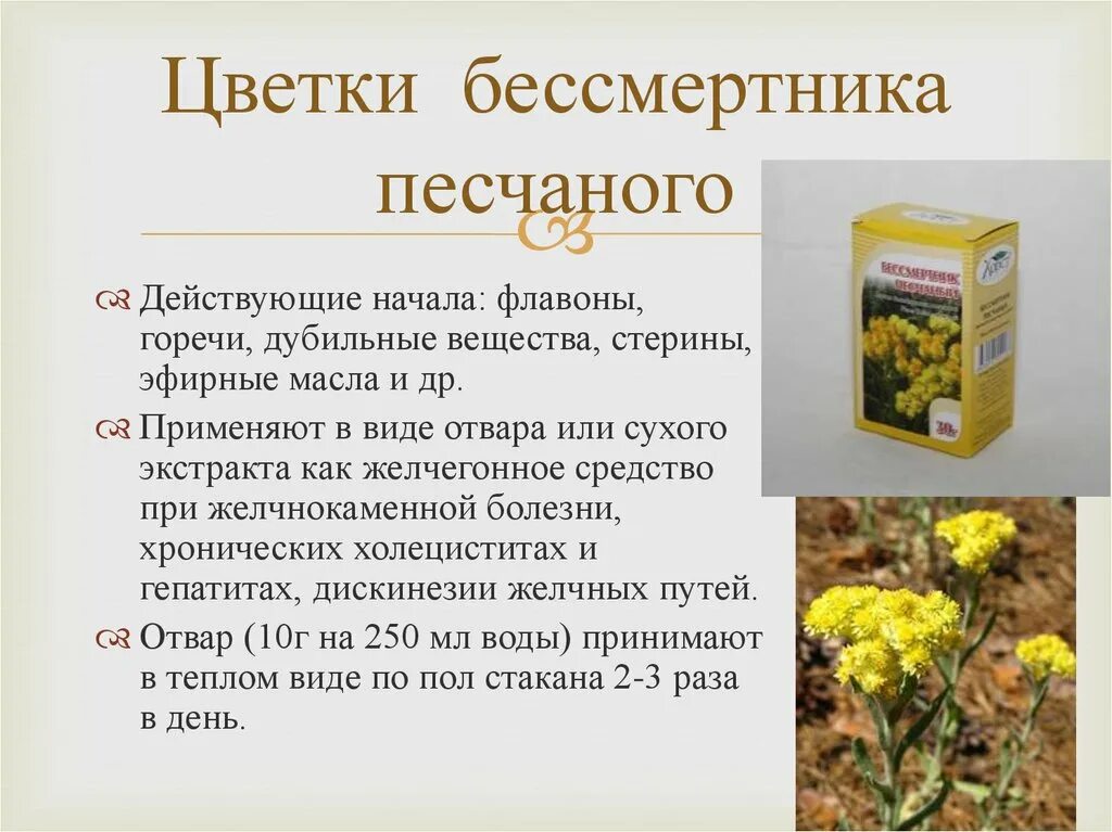 Бессмертник трава применение. Цмин песчаный бессмертник описание. бессмертник песчаный цмин песчаный описание. бессмертник песчаный лечебные его свойства. цмин песчаный лечебные.