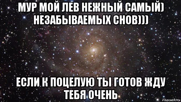 И я готов расцеловать. Сладких снов мой Лев. Ласковый и нежный Лев. Мой Лев жду тебя тебя. Сладких снуликов мой Лев.