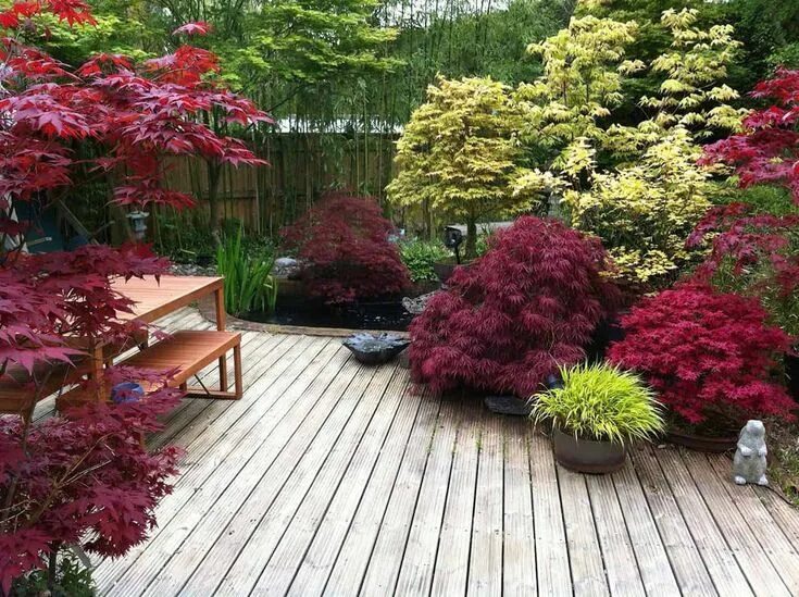 Zone 6 Growing Tips: What Are The Best Plants For Zone 6 Garden planning, Colorf